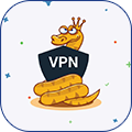 VPN Snake (Premium)